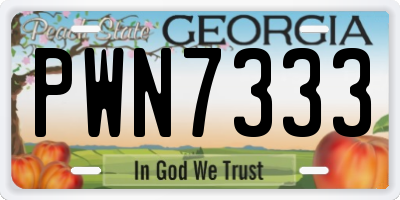 GA license plate PWN7333