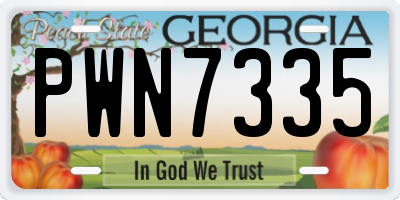 GA license plate PWN7335