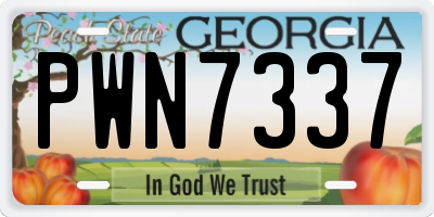 GA license plate PWN7337