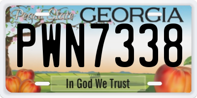 GA license plate PWN7338