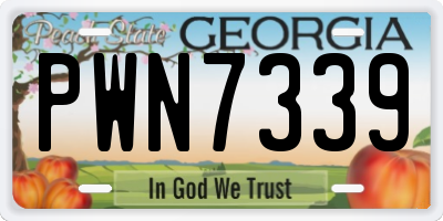 GA license plate PWN7339