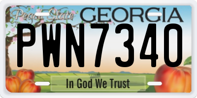 GA license plate PWN7340