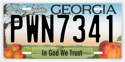 GA license plate PWN7341