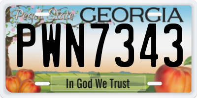 GA license plate PWN7343