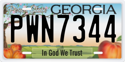 GA license plate PWN7344