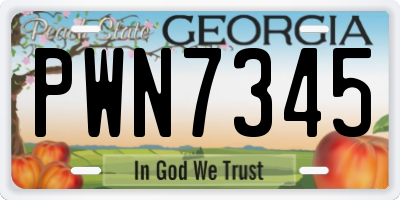 GA license plate PWN7345