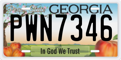 GA license plate PWN7346