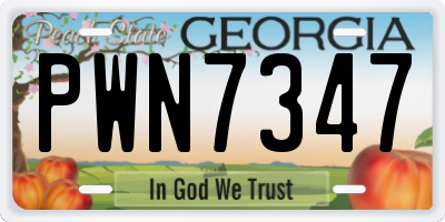 GA license plate PWN7347