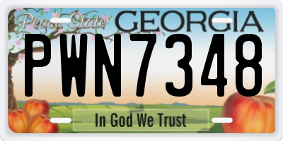 GA license plate PWN7348