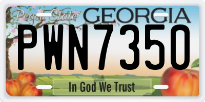 GA license plate PWN7350
