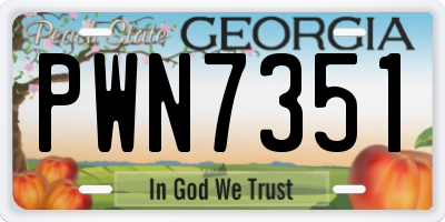 GA license plate PWN7351