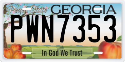 GA license plate PWN7353