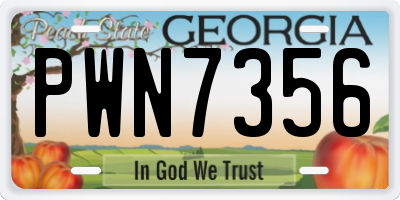 GA license plate PWN7356