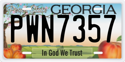 GA license plate PWN7357
