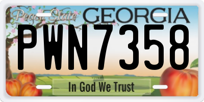 GA license plate PWN7358