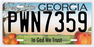 GA license plate PWN7359