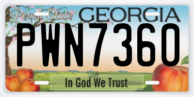 GA license plate PWN7360