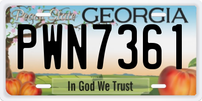GA license plate PWN7361