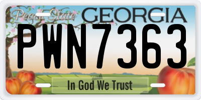 GA license plate PWN7363