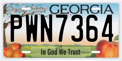 GA license plate PWN7364