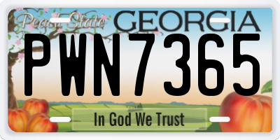 GA license plate PWN7365