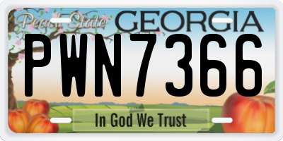 GA license plate PWN7366