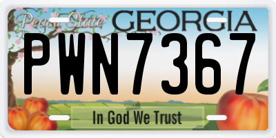 GA license plate PWN7367