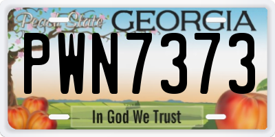 GA license plate PWN7373