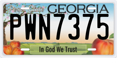 GA license plate PWN7375