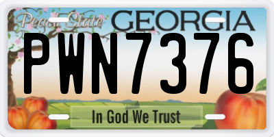 GA license plate PWN7376