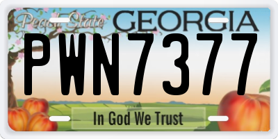 GA license plate PWN7377