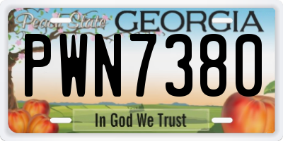 GA license plate PWN7380