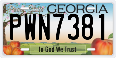 GA license plate PWN7381