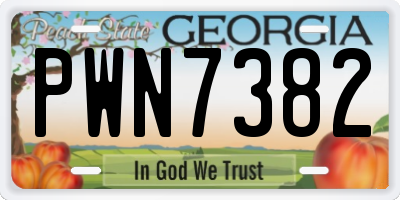 GA license plate PWN7382