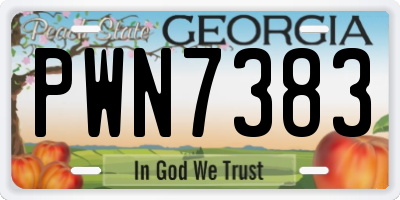 GA license plate PWN7383