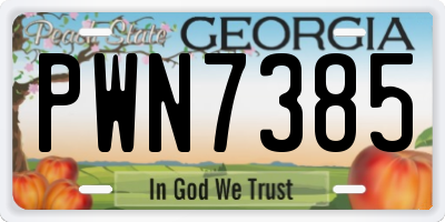 GA license plate PWN7385