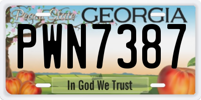 GA license plate PWN7387