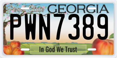 GA license plate PWN7389
