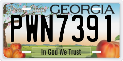 GA license plate PWN7391