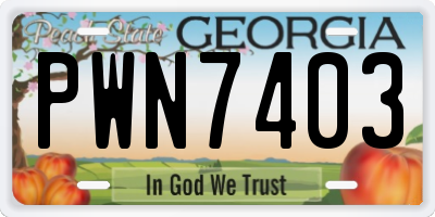 GA license plate PWN7403