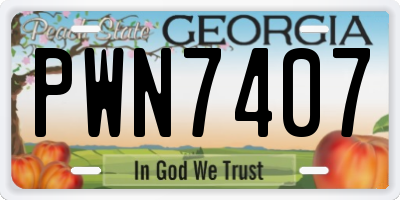 GA license plate PWN7407