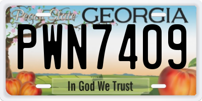 GA license plate PWN7409