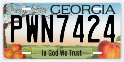 GA license plate PWN7424