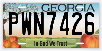 GA license plate PWN7426