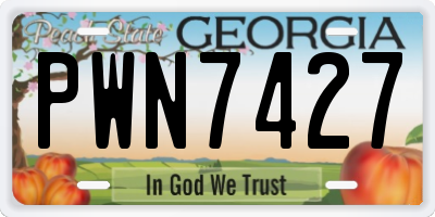 GA license plate PWN7427