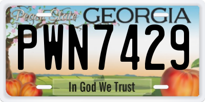 GA license plate PWN7429