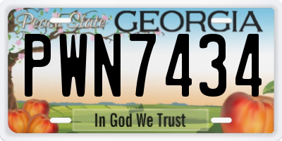 GA license plate PWN7434