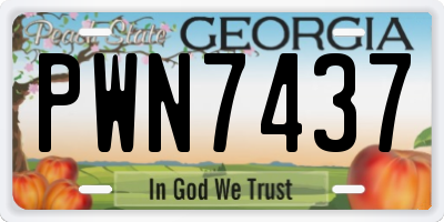GA license plate PWN7437