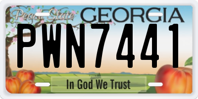 GA license plate PWN7441