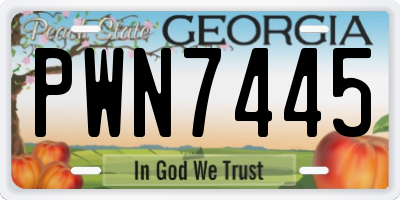 GA license plate PWN7445
